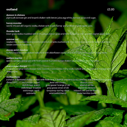 Savanah menu_Page_04