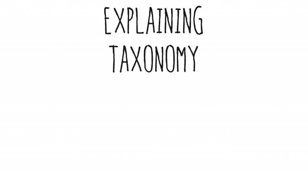 taxonomy_Page_01
